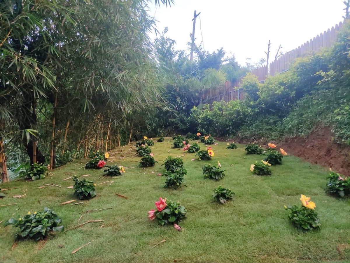 Misty Rain Estate Hotel มาดิเครี ภายนอก รูปภาพ