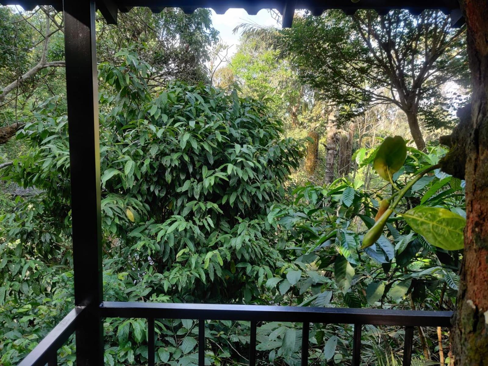 Misty Rain Estate Hotel มาดิเครี ภายนอก รูปภาพ