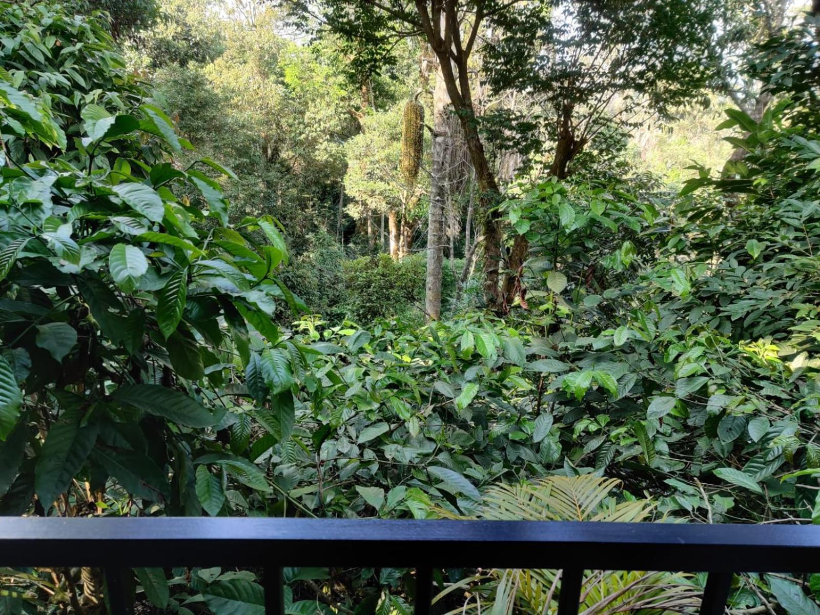 Misty Rain Estate Hotel มาดิเครี ภายนอก รูปภาพ