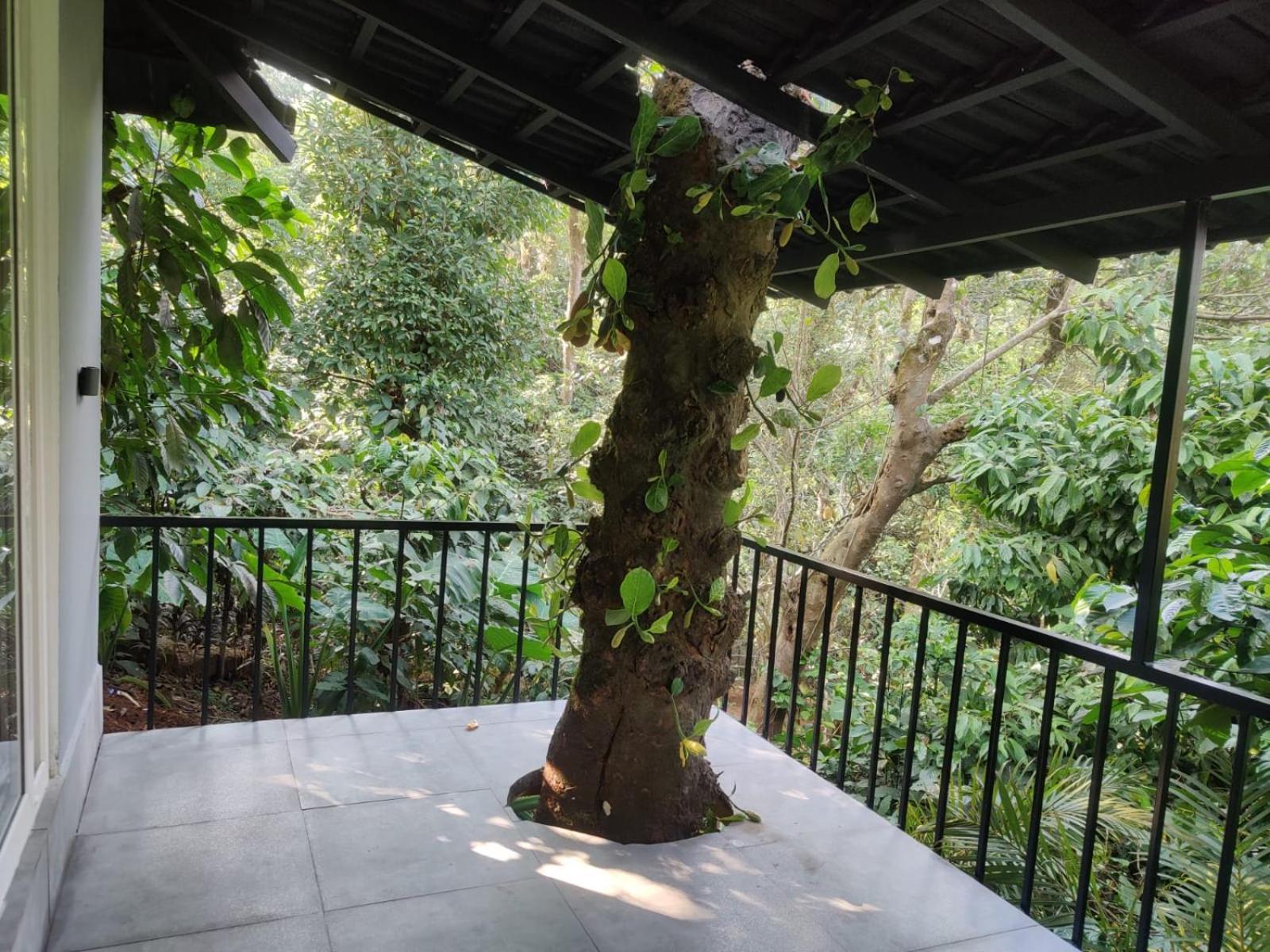 Misty Rain Estate Hotel มาดิเครี ภายนอก รูปภาพ