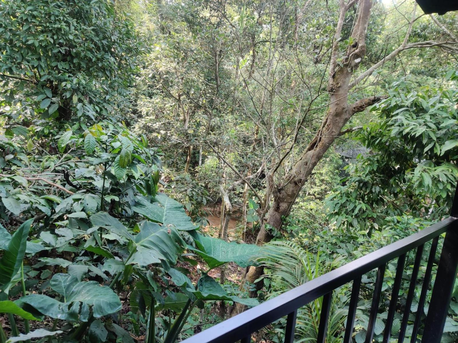 Misty Rain Estate Hotel มาดิเครี ภายนอก รูปภาพ